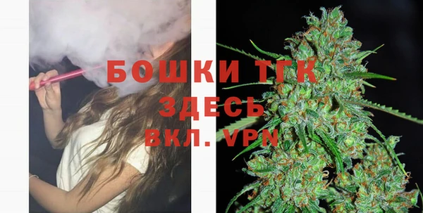 PSILOCYBIN Богданович